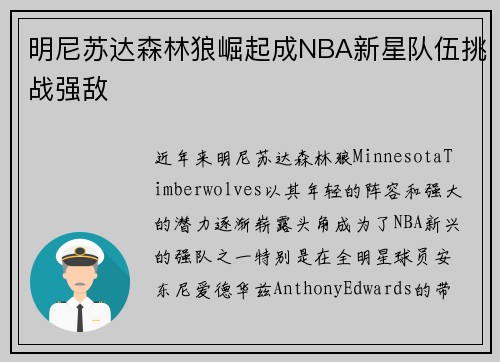 明尼苏达森林狼崛起成NBA新星队伍挑战强敌